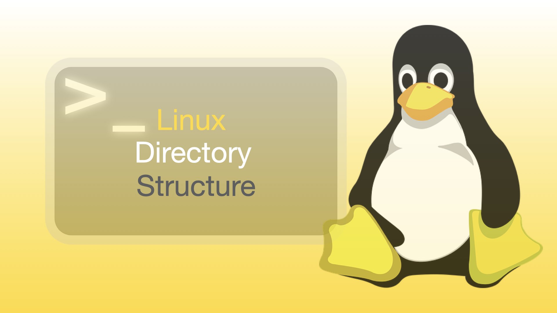 Understanding the Linux Directory Structure.